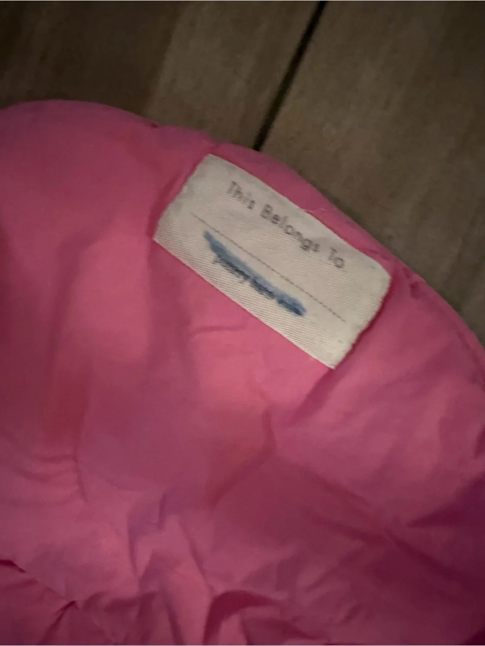 Pottery Barn Kids Pink and Light Blue Horse Sleeping Bag Cover “Emilia”